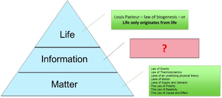 part-1-what-is-information-a-much-needed-revisit